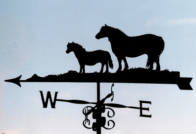 Ponies weathervane